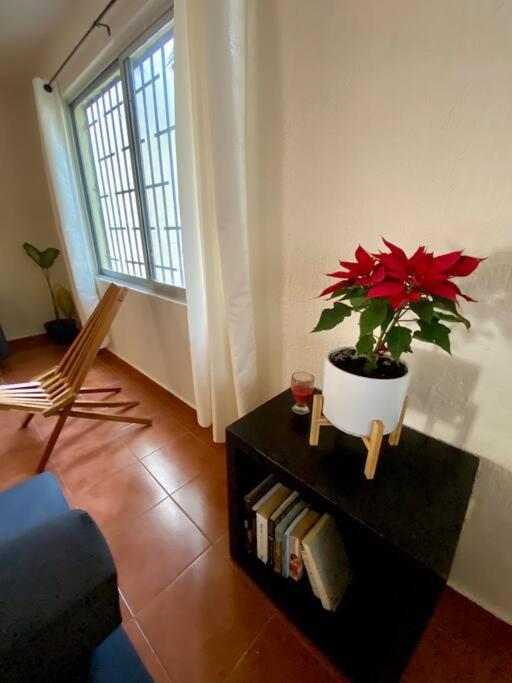 Peach35 Apartamento Centrico, 5 Min De La Playa Канкун Екстериор снимка
